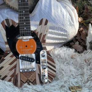 Guitare électrique WeX TLCSTR